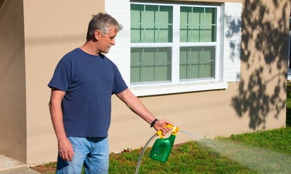 What Is The Best Weed Killer