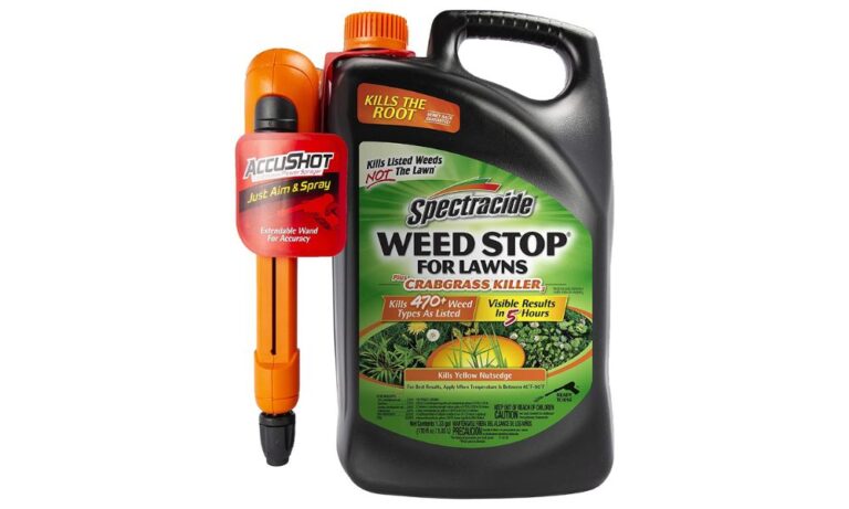 12 Best Broadleaf Weed Killer For Lawns Review 0763