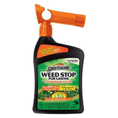 Roundup Ready-to-use Weed & Grass Killer 