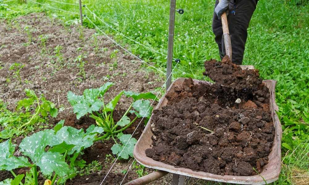 Best Ground Essentials Garden Compost Review