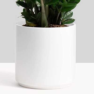 Peach & Pebble 12-Inch White Ceramic Planter