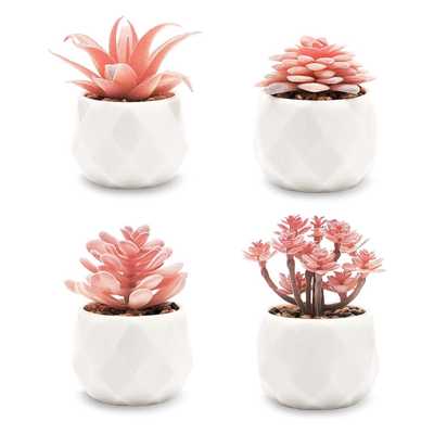 Viverie Faux Succulents In White Ceramic Pots