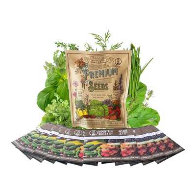 12 Culinary Herb Seeds Assortment - NON-GMO