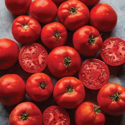 Burpee Big Boy' Hybrid Large Slicing Red Tomato Rich Flavor 
