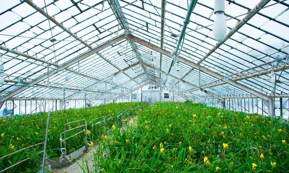 what is a high tunnel greenhouse