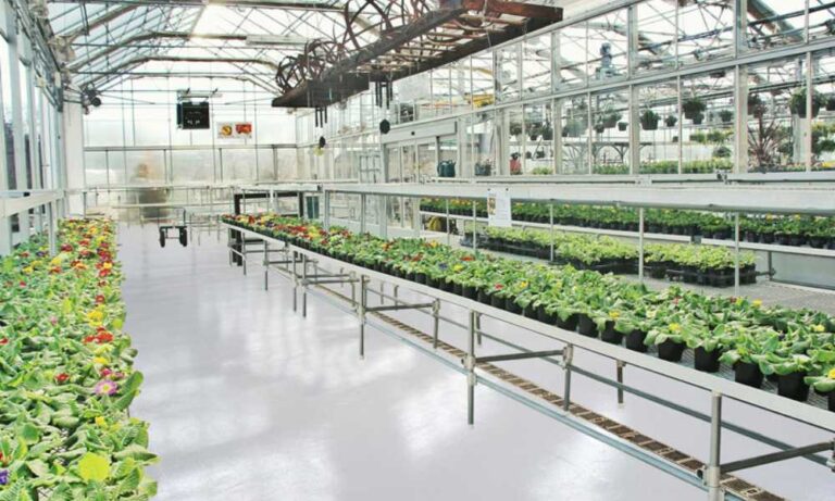 What Is The Best Floor For A Greenhouse   What Is The Best Floor For A Greenhouse 768x461 