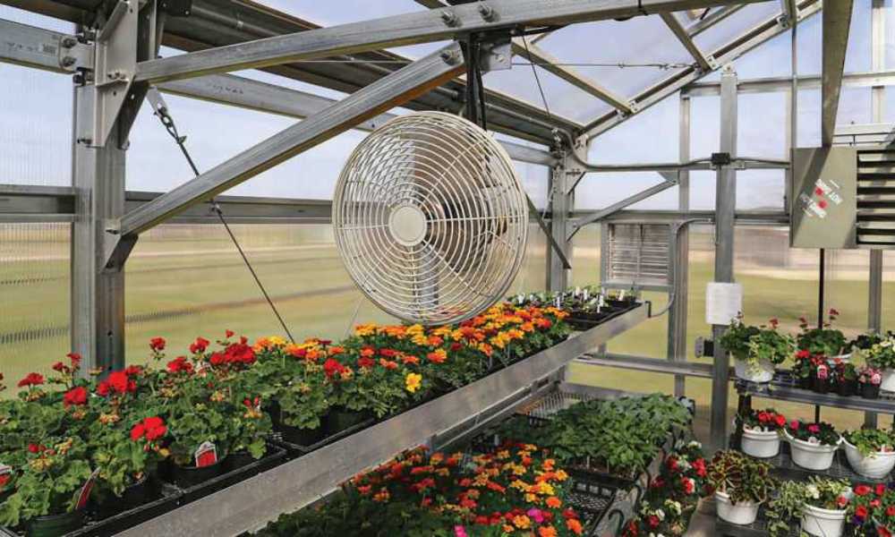 best fan for small greenhouse