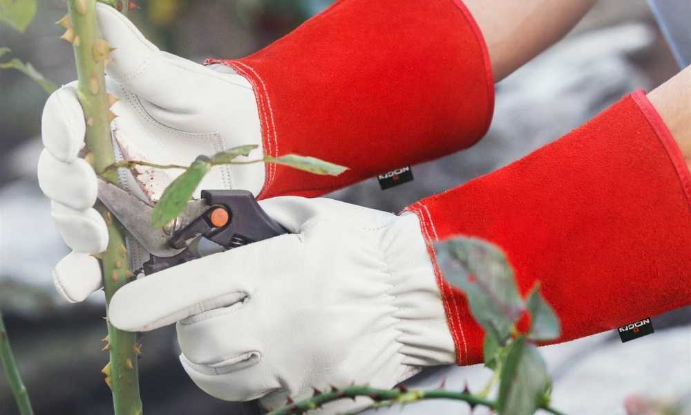 gardening gloves used
