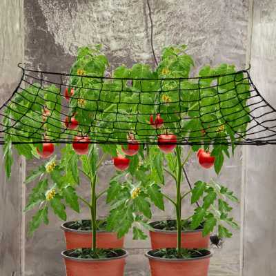 Trellis Net For Grow Tent