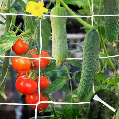 YHmall Trellis Netting For Climbing Plants